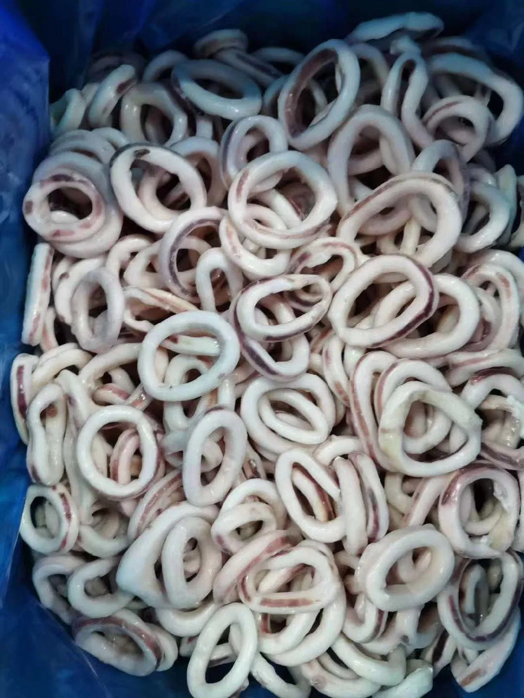 Squid Ring Squidsquid Beyond Ocean High Quality Frozen Squid Ring for Calamari Skin on