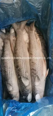 Triglie congelate pescate nel Mar Cinese senza uova