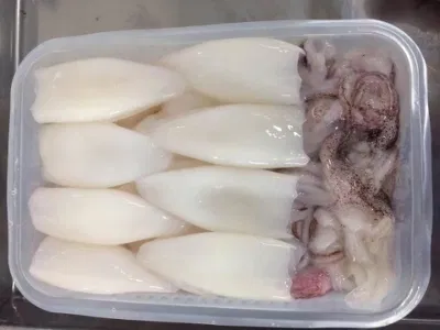 Calamari/Calamari/Calamar congelati T+T (tubo+tentacolo) Pota/Sotong